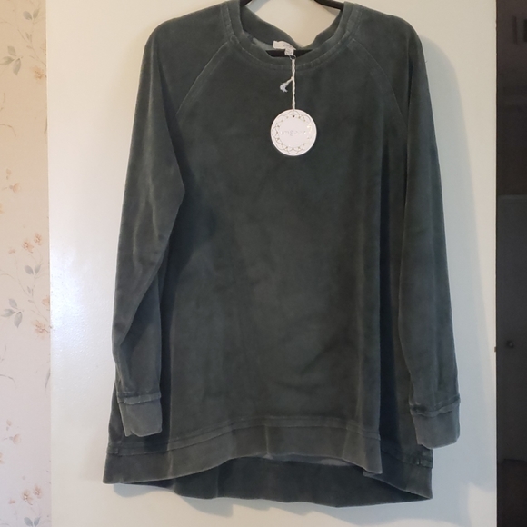 green velvet sweatshirt